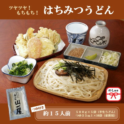 【ふるさと納税】【のし付き】はちみつうどん500g×5袋 約15人前(半生うどん)【1430850】