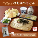 15位! 口コミ数「0件」評価「0」【のし付き】はちみつうどん500g×5袋 約15人前(半生うどん)【1430850】