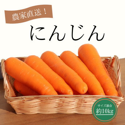 【ふるさと納税】にんじん約10kg【配送不可地域：離島・沖縄県】【1478444】