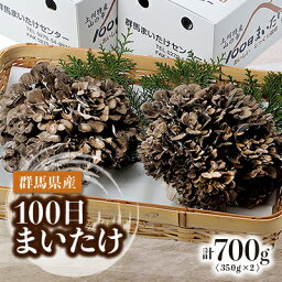 【ふるさと納税】100日まいたけ 350g×2箱【配送不可地域：離島・沖縄県】【1429408】