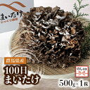 【ふるさと納税】【のし付き】100日まいたけ 500g×1株【配送不可地域：離島・沖縄県】【1429422】