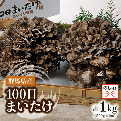 【ふるさと納税】【のし付き】100日まいたけ 500g×2株【配送不可地域：離島・沖縄県】【1429424】