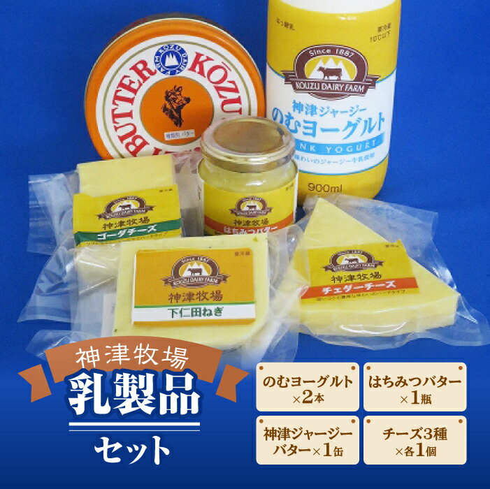 楽天群馬県下仁田町【ふるさと納税】【神津牧場】ジャージー牛の濃厚ミルクで作った乳製品セット≪発酵バター・のむヨーグルト・チーズ3種（チェダー・ゴーダ・下仁田ねぎ）・はちみつバター≫詰合せ ジャージー乳 乳製品 F21K-311