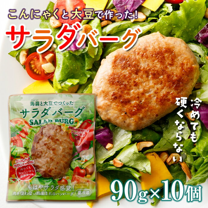 【ふるさと納税】群馬県下仁田町 【原料は100％植物由来】こんにゃくと大豆で作ったサラダバーグ90g×10個 ダイエット こんにゃく 大豆 おから 食物繊維 美肌 糖質制限 ローカロリー 糖質カット 100％プラントベース (ビーガン対応) F21K-161