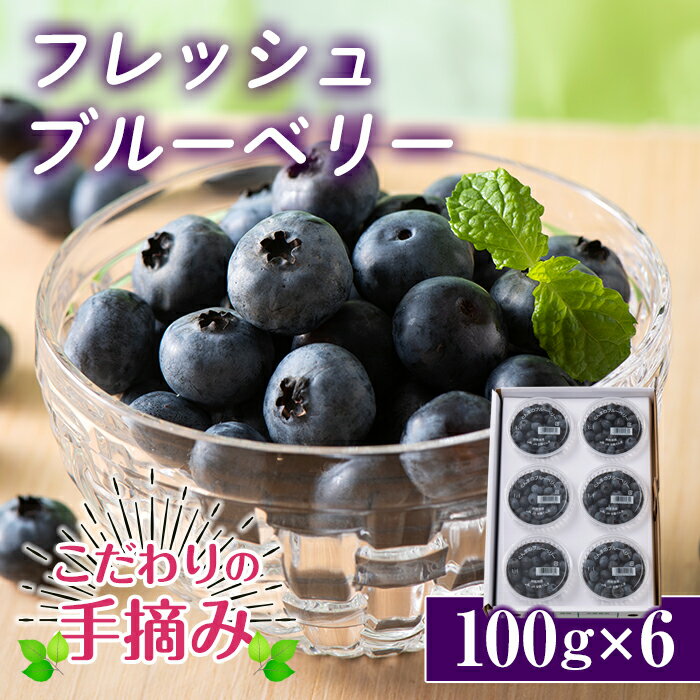 55位! 口コミ数「0件」評価「0」≪数量・期間限定≫【下仁田町産】こだわりの手摘み 新鮮 生ブルーベリー 600g フレッシュ フルーツ 果物 アントシアニン 目 F21K-･･･ 