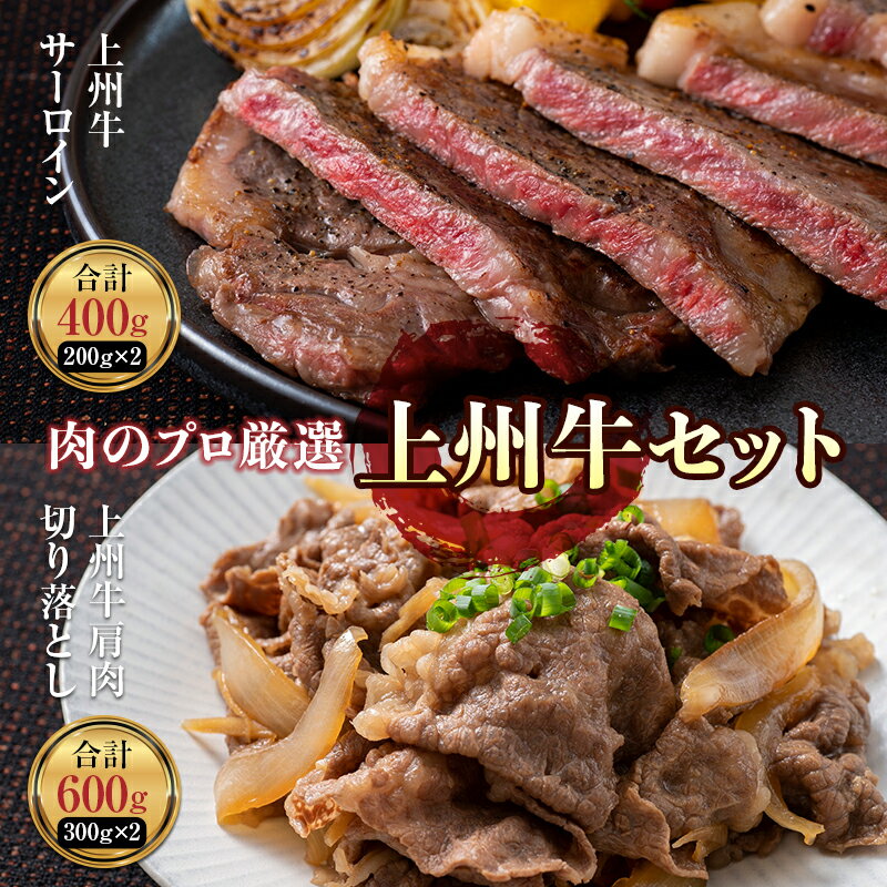 肉のプロが厳選 上州牛セット(サーロイン・切り落とし) 約1kg 贅沢 ブランド 和牛 記念日 F21K-213