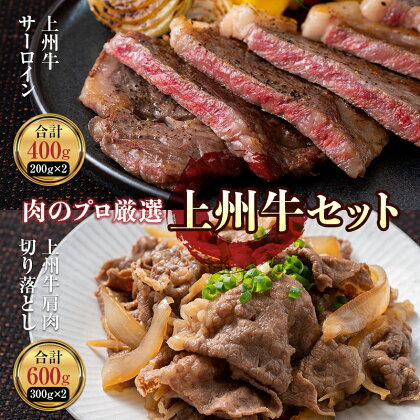 肉のプロが厳選 上州牛セット（サーロイン・切り落とし） 約1kg 贅沢 ブランド 和牛 記念日 F21K-213