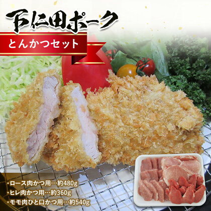 ブランド豚「下仁田ポーク」とんかつセット ジューシー ロース肉かつ用 ヒレ肉かつ用 モモ肉ひと口かつ用 食べ比べ 豚肉 F21K-226