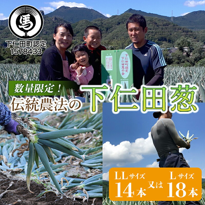 【ふるさと納税】伝統農法の下仁田葱（LL15本またはL20本） F21K-024のサムネイル