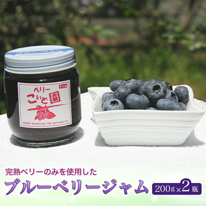 ベリーこいど園 ブルーベリージャム ホットケーキ アイスクリーム トースト スコーン ヨーグルト おやつ 果実感 果物 フルーツ 甘酸っぱい F21K-088