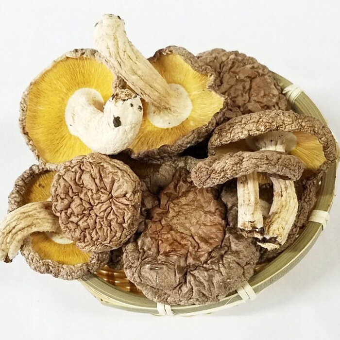 たけのこ水煮　1本