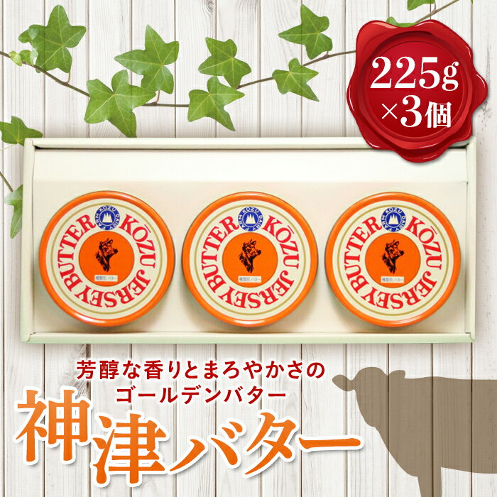 【ふるさと納税】群馬県下仁田町【神津牧場】ジャージー牛の濃厚ミルクで作った発酵バター225g×3缶セット ジャージー乳 濃厚 乳製品 F21K-312のサムネイル