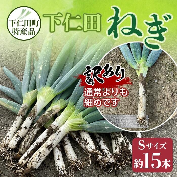 【ふるさと納税】訳あり（家庭用）下仁田町特産「下仁田ねぎ」Sサイズ15本 とろける 甘い ねぎ ネギ 葱 王様ねぎ 殿様ねぎ 特産 栄養たっぷり ブランド 上州ねぎ すきやき F21K-184のサムネイル