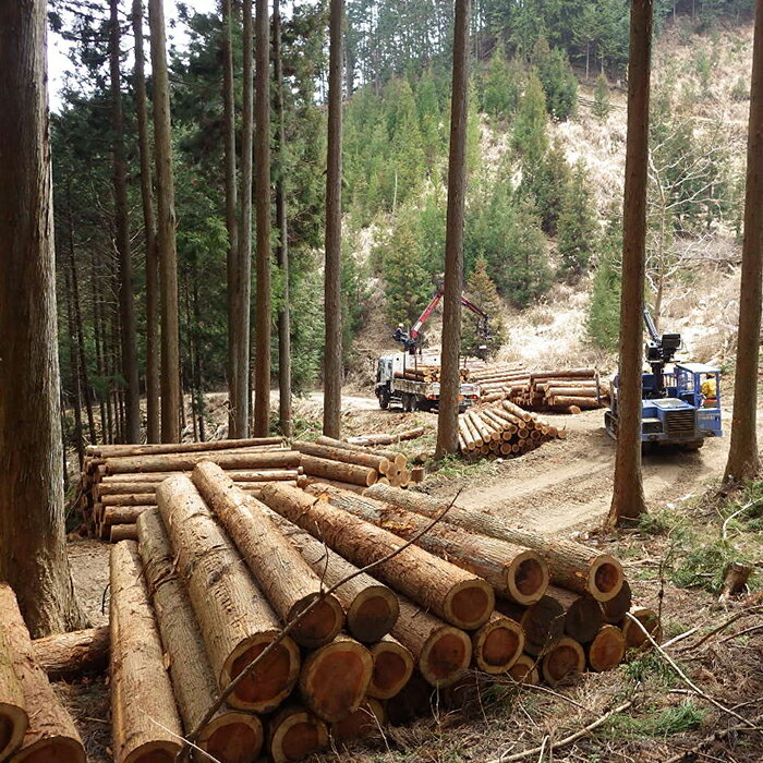 群馬県下仁田町の画像3