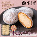 【ふるさと納税】 本宿どうなつ10個セット 名物 ドーナツ 自家製餡 なめらか 手土産 おみやげ お茶請け 老舗 F21K-210