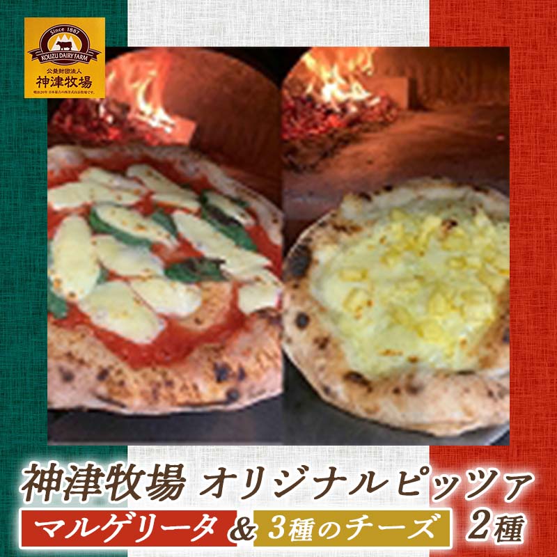 【ふるさと納税】 神津牧場オリジナルピッツァ2種 ジャージー乳 マルゲリータ 3種のチーズ 冷凍 イタリアン ピザ 食べ比べ F21K-305のサムネイル