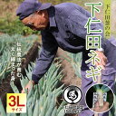 【ふるさと納税】下仁田葱の会の下仁田葱(3Lサイズ 10本) とろける 甘い ねぎ ネギ 王様ねぎ 特産 栄養たっぷり ブランド 上州ねぎ すきやき F21K-590