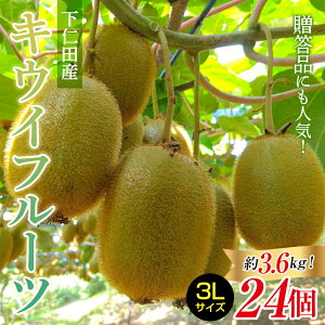 【ふるさと納税】【12月初旬より随時発送】 2年連続受賞「A品数量限定」 下仁田町のキウイフルーツ 約3.6kg(1玉3Lサイズ150g以上) キウイ フルーツ キウイフルーツ デザート 果物 贈答品としても人気! 手土産 おみやげ フレッシュ F21K-331