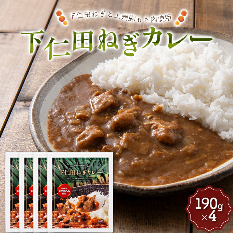 【ふるさと納税】 下仁田ネギカレー ねぎ ネギ 葱 王様ねぎ 殿様ねぎ 特産 上州ねぎ 上州葱 上州豚 レトルト 簡単 便利 非常食 F21K-356のサムネイル