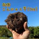 【ふるさと納税】 有機こんにゃく芋(約1kg)(レシピ・凝固剤付き) F21K-398