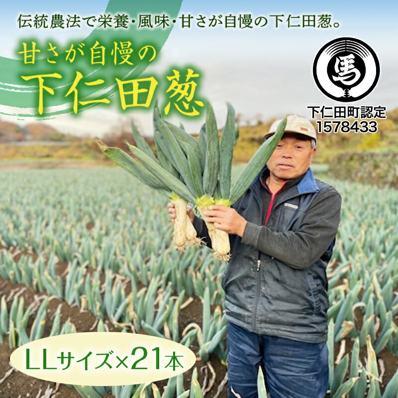 【ふるさと納税】甘さが自慢の下仁田葱（LLサイズ 21本） とろける 甘い ねぎ ネギ 王様ねぎ 殿様ねぎ 特産 栄養たっぷり ブランド 上州ねぎ すきやき F21K-402のサムネイル