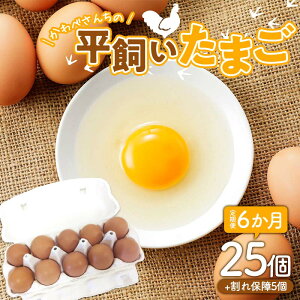 【ふるさと納税】 【定期便6か月】かわべさんちの平飼いたまご 25個(プラス割れ保障 5個) 計30個×6か月 計180個 卵 玉子 たまご 生卵 F21K-462