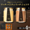 【ふるさと納税】 贅沢リッチ・バニラ&ショコラの詰め合わせ 4個入り(バニラ 2個・ショコラ 2個) 手土産 おやつ デザート スイーツ こだわり 話題 リッチ...