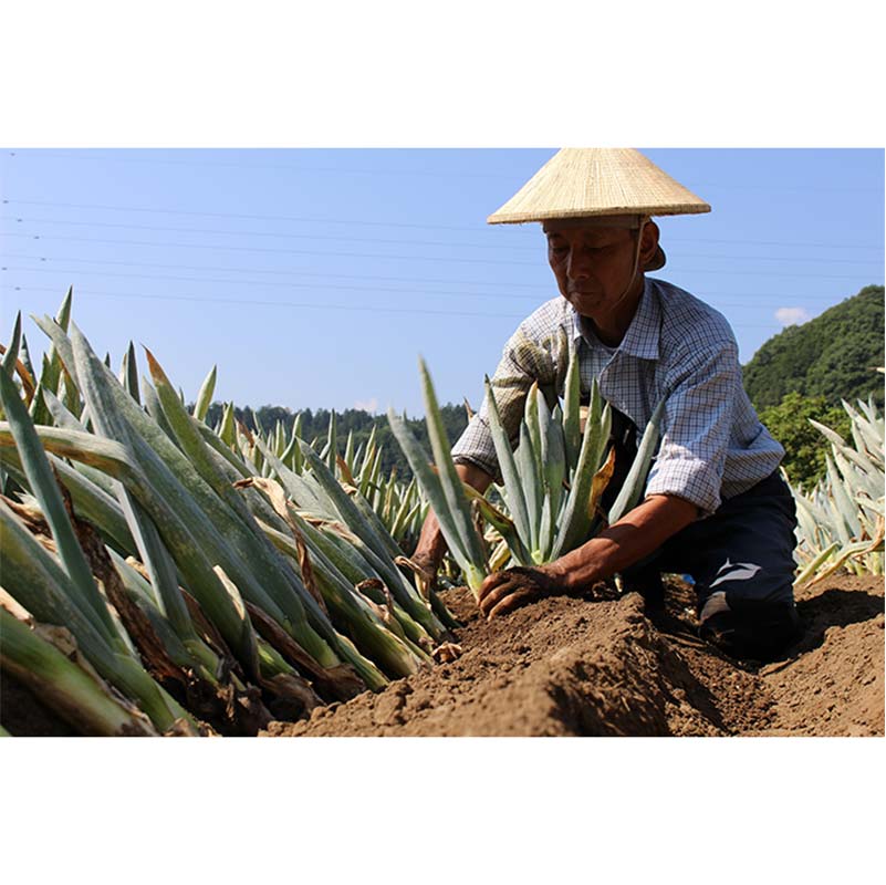 群馬県下仁田町の画像2