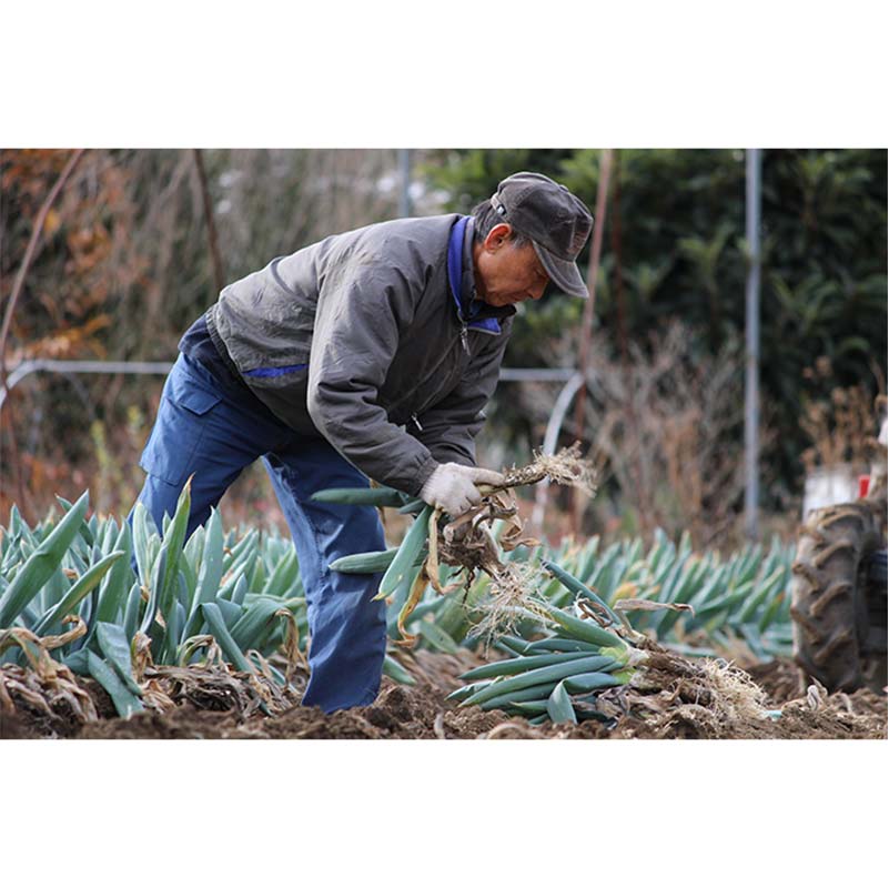 群馬県下仁田町の画像3