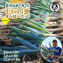 【ふるさと納税】愛情込めて育てた下仁田葱食べ比べセット(M2本・L2本・LL3本) とろける 甘い ねぎ ネギ 王様ねぎ 殿様ねぎ 特産 栄養たっぷり ブランド...