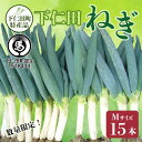 【ふるさと納税】下仁田町特産「下仁田ねぎ」Mサイズ 15本 小箱 とろける 甘い ねぎ ネギ 王様ねぎ 特産 栄養たっぷり ブランド 上州ねぎ すきやき F21...