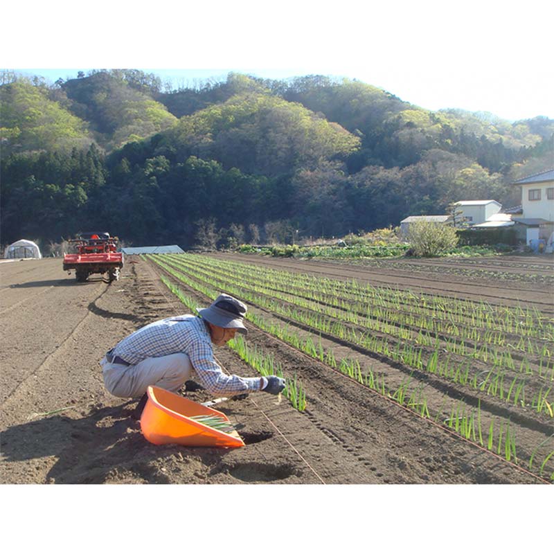 群馬県下仁田町の画像2