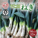 【ふるさと納税】厳選!下仁田葱(Mサイズ 15本) とろける 甘い ねぎ ネギ 王様ねぎ 特産 栄養たっぷり ブランド 上州ねぎ すきやき F21K-592