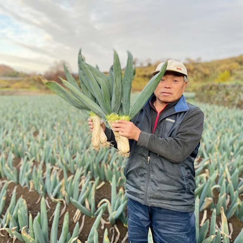 【ふるさと納税】甘さが自慢の下仁田葱（Mサイズ 20本） とろける 甘い ねぎ ネギ 王様ねぎ 殿様ねぎ 特産 栄養たっぷり ブランド 上州ねぎ すきやき F21K-616