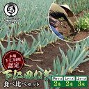 【ふるさと納税】本場下仁田町認定ねぎの会会員が作った下仁田ねぎ食べ比べセット(M2本・L2本・LL3本) とろける 甘い ねぎ ネギ 王様ねぎ 殿様ねぎ 特産 ...