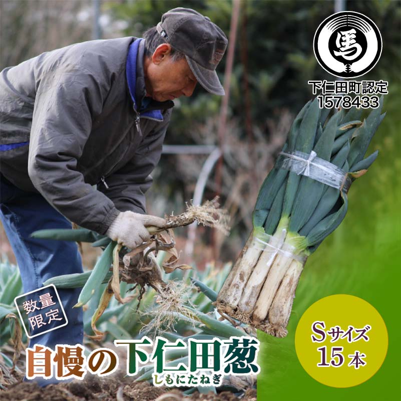 自慢の下仁田葱(S 15本) とろける 甘い ねぎ ネギ 王様ねぎ 殿様ねぎ 特産 栄養たっぷり ブランド 上州ねぎ すきやき F21K-660