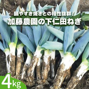 下仁田ネギ 下仁田ネギ