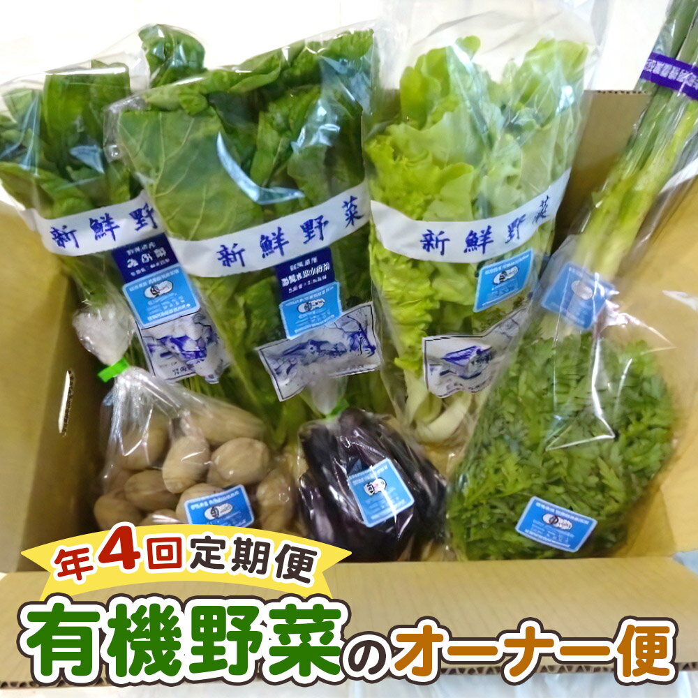 [定期便4回] 有機野菜のオーナー便｜季節野菜 新鮮野菜 獲れたて 産地直送 群馬県産 甘楽町産 [0208]