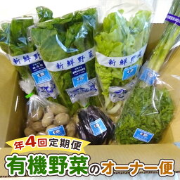 【ふるさと納税】[定期便4回] 有機野菜のオーナー便｜季節野菜 新鮮野菜 獲れたて 産地直送 群馬県産 甘楽町産 [0208]