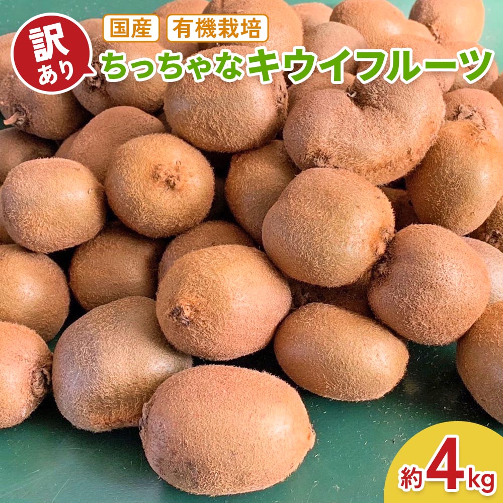 [訳あり] ちっちゃなキウイフルーツ (約4kg) 有機栽培 [黒澤農園]|数量限定 期間限定 キウイ ヘイワード 果物 果実 フルーツ 農家直送 産地直送 有機栽培 国産 甘楽町産 群馬県産 訳あり品 [0306]