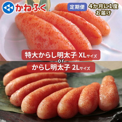 [定期便] かねふく 特大からし明太子 1kg『4ヶ月に1度／全3回』｜めんたいパーク 辛子明太子 ギフト おかず 甘楽町 [0113-0114]