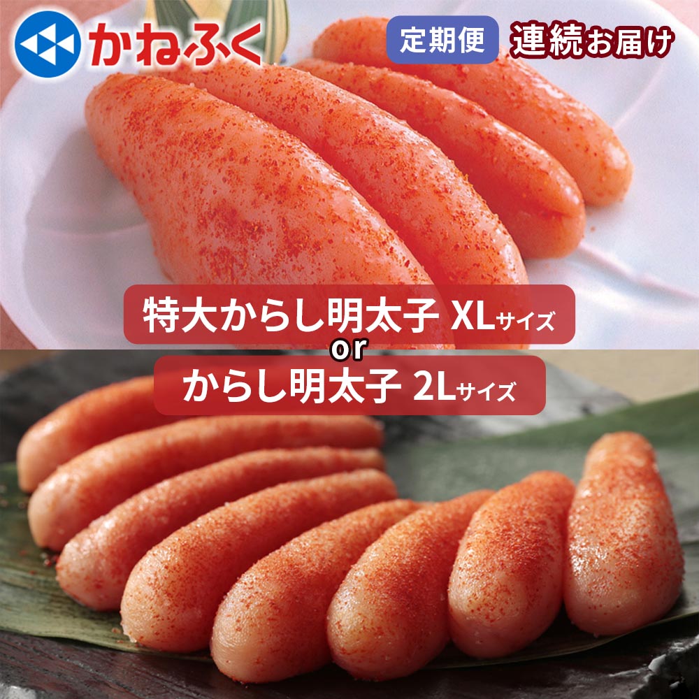 [定期便] かねふく 特大からし明太子 1kg|めんたいパーク 辛子明太子 ギフト おかず 甘楽町 [0121-0128]