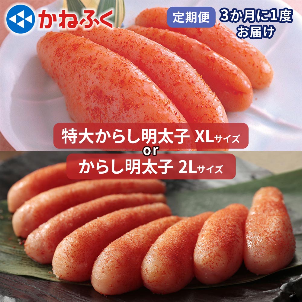 【ふるさと納税】[定期便] かねふく 特大からし明太子 1kg『3ヶ月に1度／全4回』｜めんたいパーク 辛子明太子 ギフト おかず 甘楽町 [0129-0130]