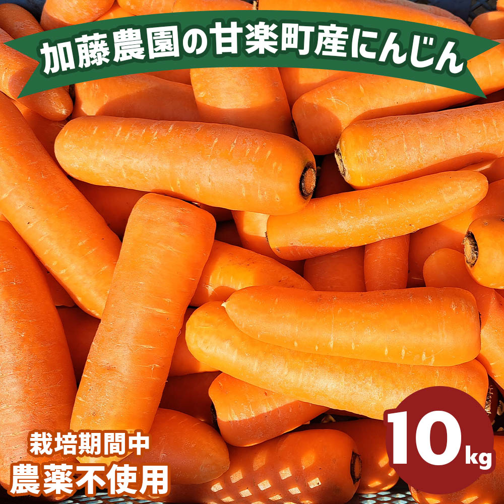 産地直送!加藤農園の甘楽町産にんじん 10kg|人参 ニンジン 野菜 キャロット 国産 新鮮 農家直送 産地直送 煮物 かき揚げ 甘楽町 数量限定 期間限定 [0317]