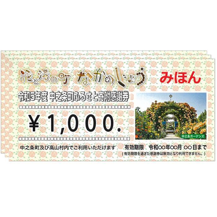 【ふるさと納税】中之条町ふるさと寄附感謝券3000円分