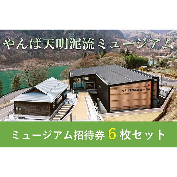 ・ふるさと納税よくある質問はこちら ・寄付申込みのキャンセル、返礼品の変更・返品はできません。あらかじめご了承ください。 ・ご要望を備考に記載頂いてもこちらでは対応いたしかねますので、何卒ご了承くださいませ。 ・寄付回数の制限は設けておりません。寄付をいただく度にお届けいたします。 商品概要 八ッ場ダムから車で5分。ダム湖畔に令和3年春オープンした「やんば天明泥流ミュージアム」は、江戸時代に起きた浅間山大噴火により埋没した村々の景観や、当時の人々の暮らしを、500点以上の展示品や迫力ある大画面シアター映像にて体感していただけるミュージアムです。 周辺には、800年の歴史を持つ川原湯温泉や完成したばかりのダムがあり、水陸両用バスやカヌー・カヤックで行く湖面ツアーなど、最新の湖上アクティビティも楽しめます。 ■やんば天明泥流ミュージアム　招待券セット ミュージアムの招待券6名様分をセットに。 ご家族揃って、240年前の江戸時代の八ッ場への＜タイムスリップ＞見学をお楽しみください！ （招待券に使用期限はございません。） ※お礼の品のお問い合わせ先（長野原町やんば天明泥流ミュージアム：0279-82-5150） 内容量・サイズ等 招待券6枚 事業者情報 事業者名 長野原町やんば天明泥流ミュージアム 連絡先 0279-82-5150 営業時間 9:00〜16:30 定休日 水曜日・年末年始など「ふるさと納税」寄付金は、下記の事業を推進する資金として活用してまいります。 （1）未来を担う人づくり事業