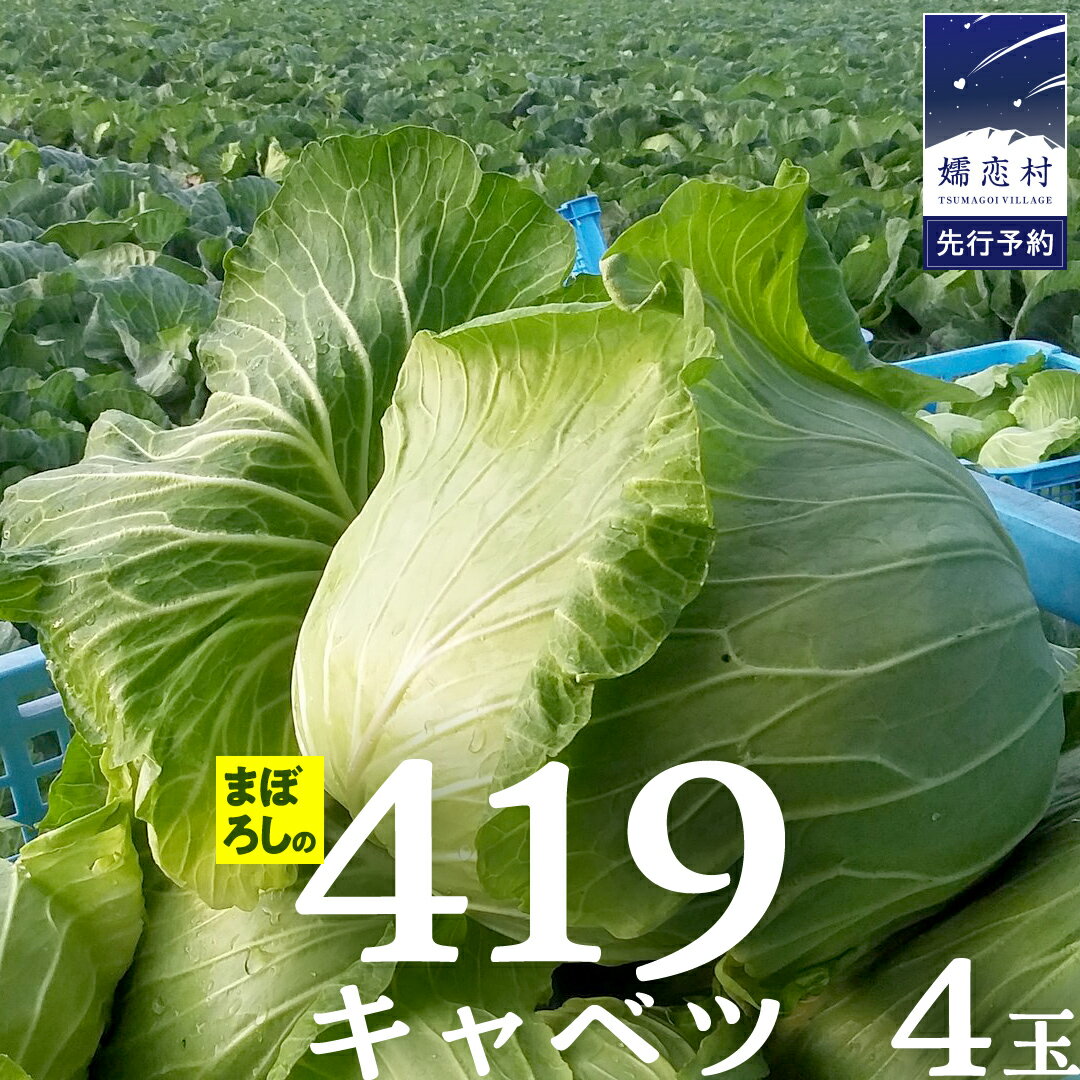 【ふるさと納税】【 8月 上旬発送開始】 まぼろしの419キャベツ 4玉 幻のキャベツ419 きゃべつ 嬬恋村産キャベツ 幻…