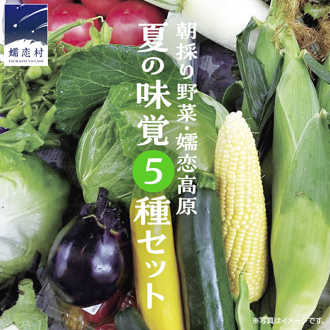 【ふるさと納税】【 8月 上旬発送開始】 朝採り野菜 嬬恋高原 夏の味覚5種セット 高原野菜セット 産地直送 期間限定 先行予約 人気 朝採り お取り寄せ 関東 群馬のサムネイル