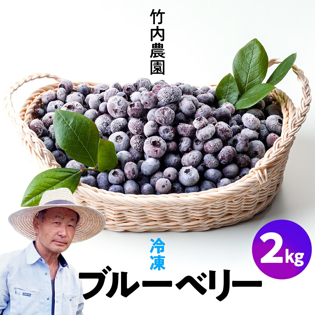 【ふるさと納税】【数量限定】 冷凍ブルーベリー 2kg 国産 群馬県 フルーツ 果物 北軽井沢ブルーベリー園 1kg × 2袋のサムネイル