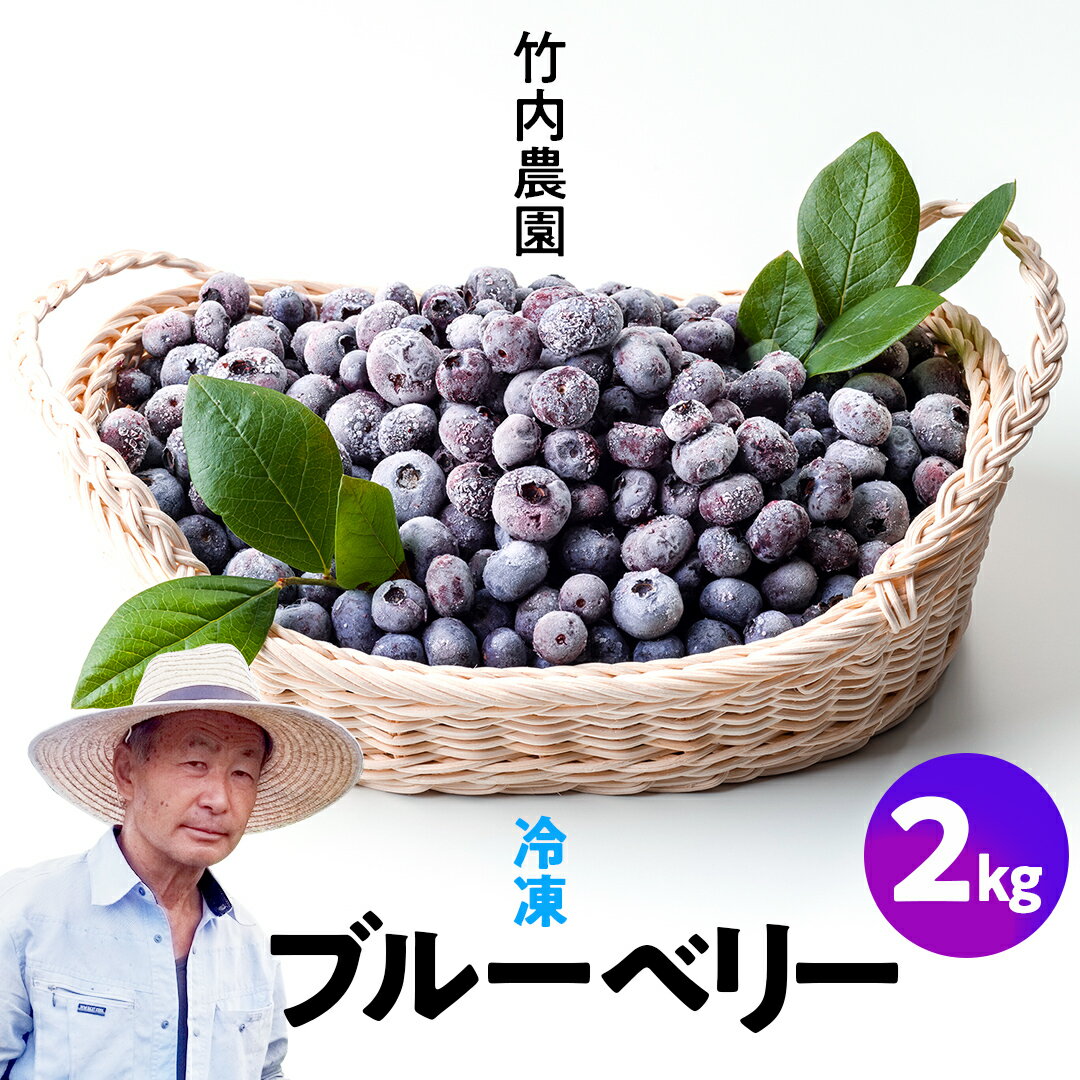 【ふるさと納税】【数量限定】 冷凍ブルーベリー 2kg 国産 群馬県 フルーツ 果物 北軽井沢ブルーベリー園 1kg × 2袋